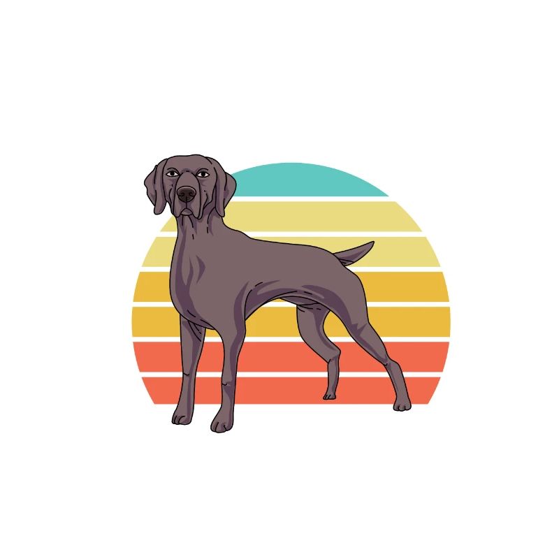 Weimaraner