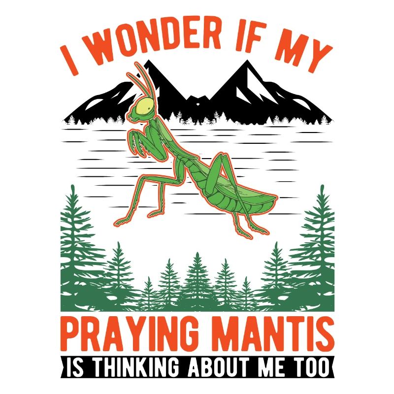 Praying mantis Gift Mantis Mantis