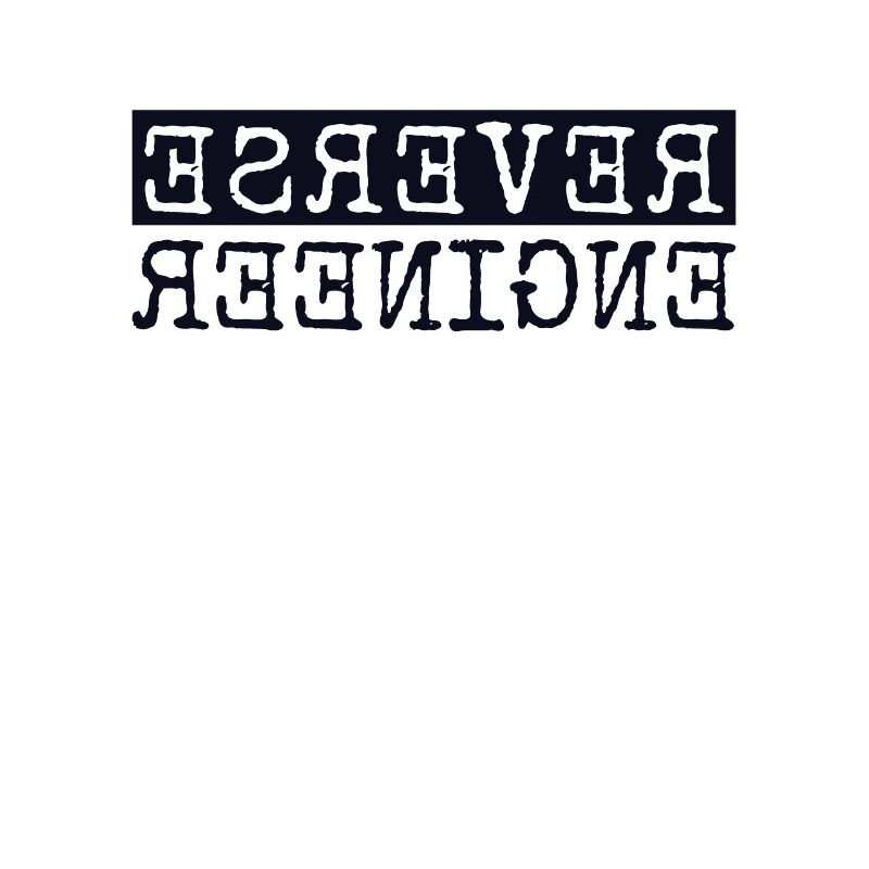 Reverse Engineer Software Engineer Developer