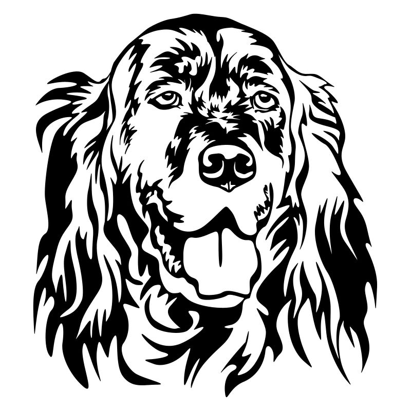 Englischer Setter Kopf