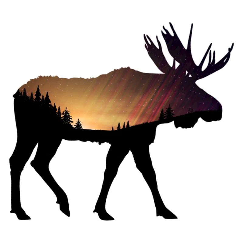 Moose with a orange sunset