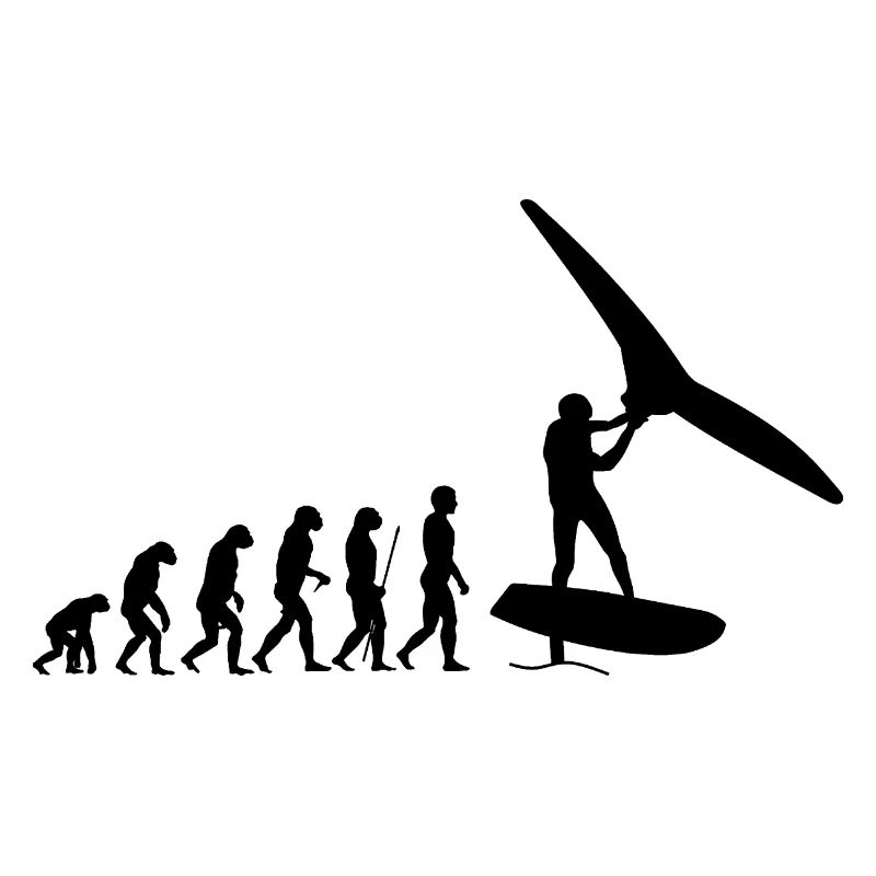 Foilwing evolution
