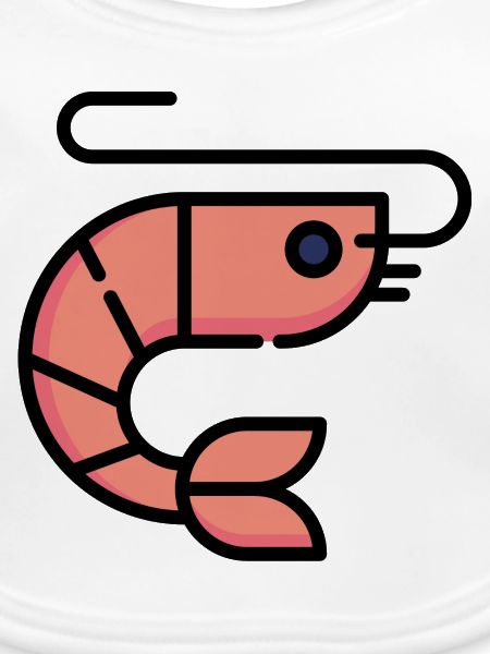 Shrimp Geschenk Idee