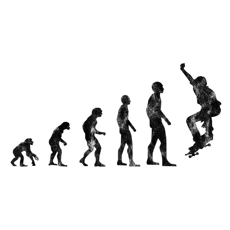 Evolution Skateboarder Skateboard Skater Skate