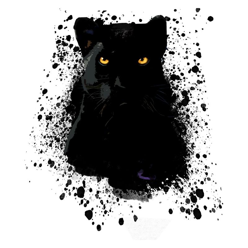 panthère noire, panthère, chat, emo, punk, graffiti