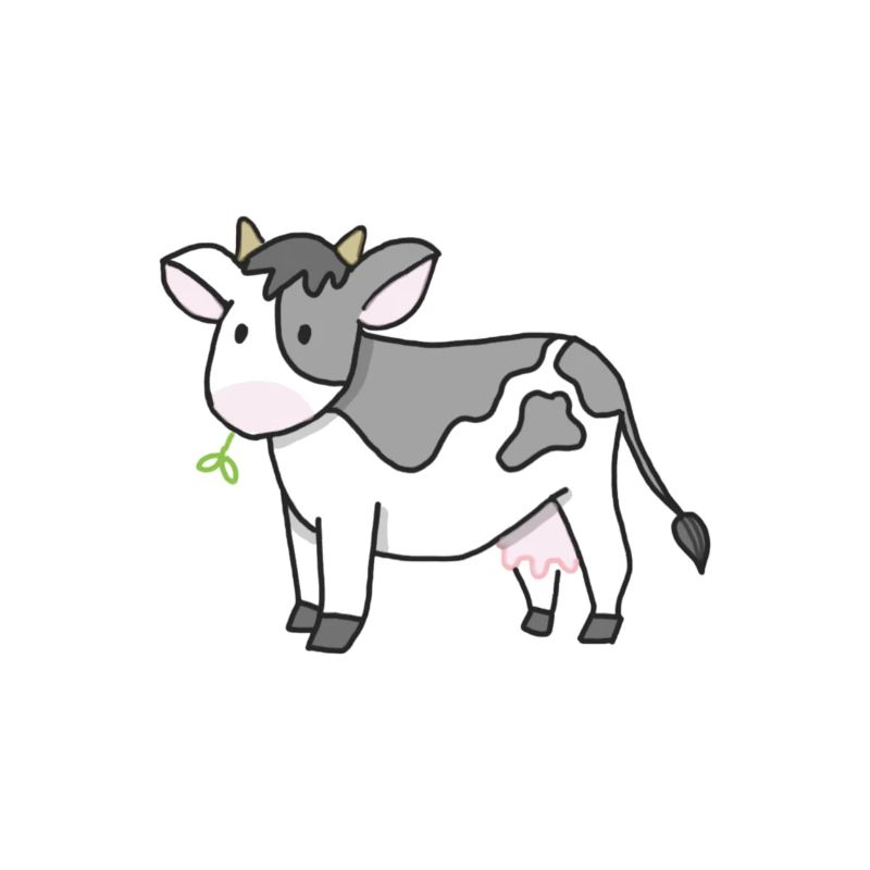 Cow