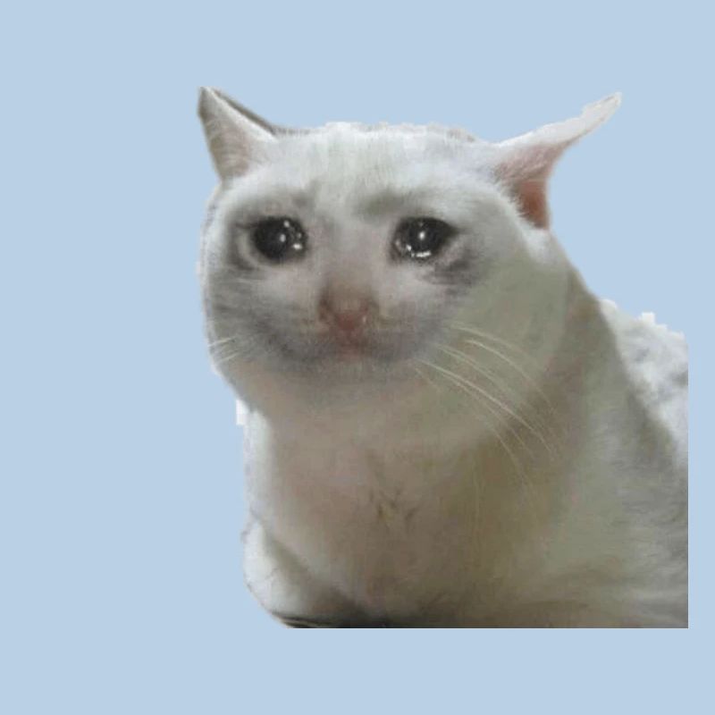 Meme kat