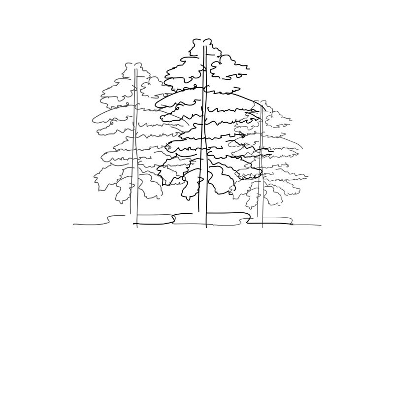 Tree Forest Lineart