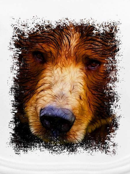 Braunbär