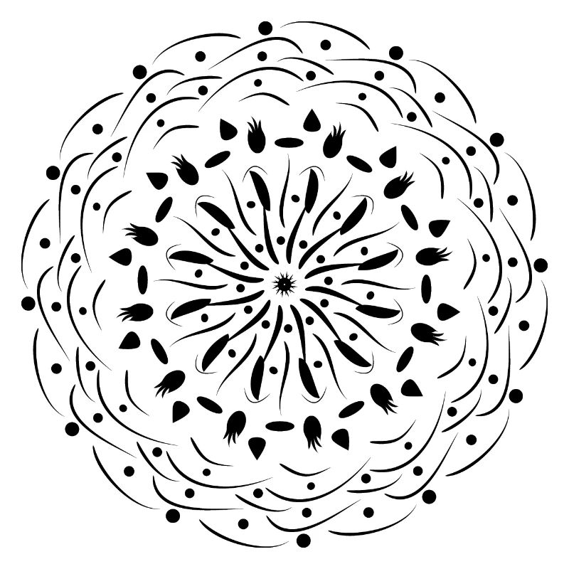 Rotating Flower in Black Pattern Gift Idea