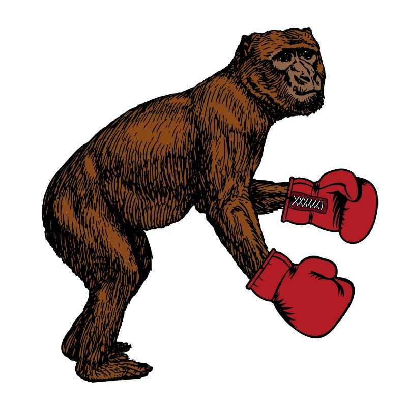 Boxing monkey boxing gloves gift boxes gorilla