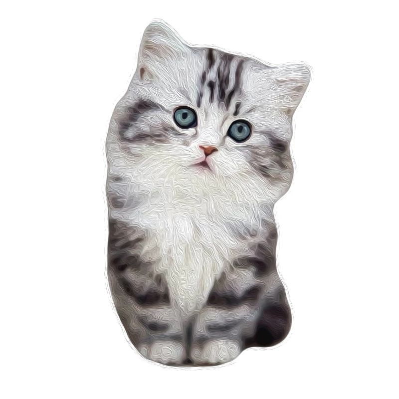 Chat de patte de velours mignon kitty kitty