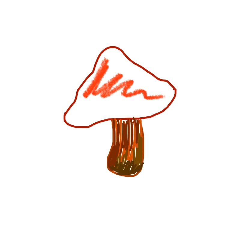 Idée cadeau pour la cuisson aux champignons