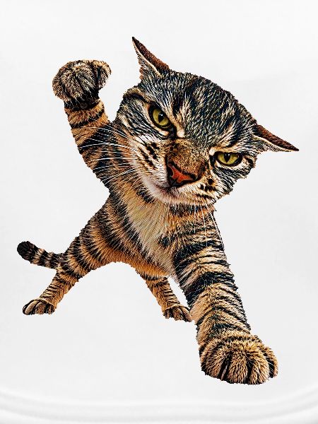 Katze
