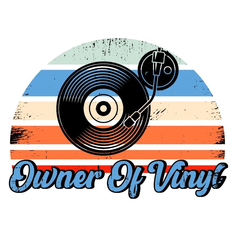 Vinyl Record Collection Record Gift