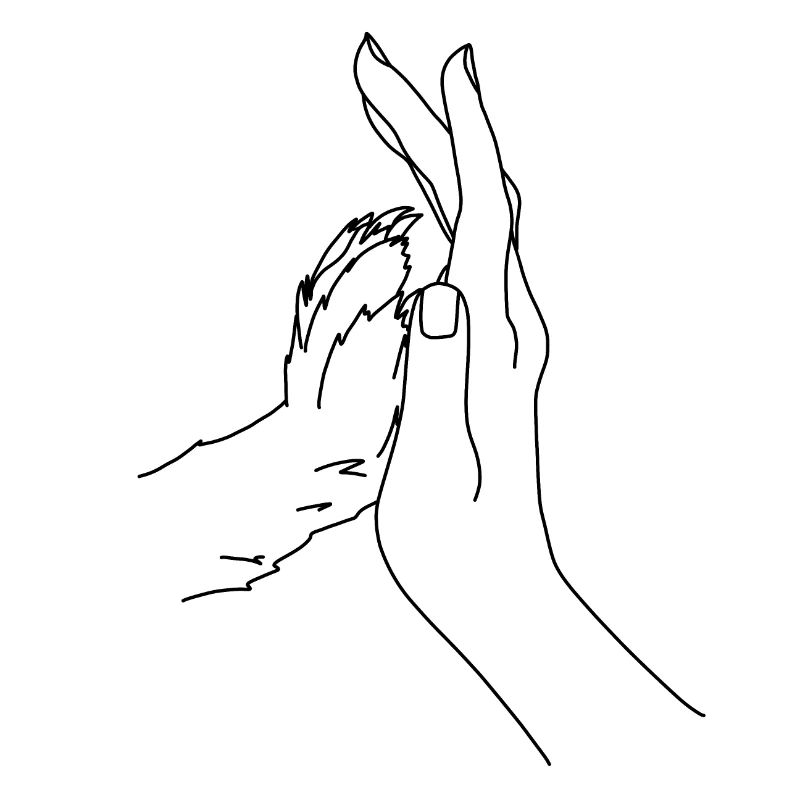 Hand with dog's paw dark