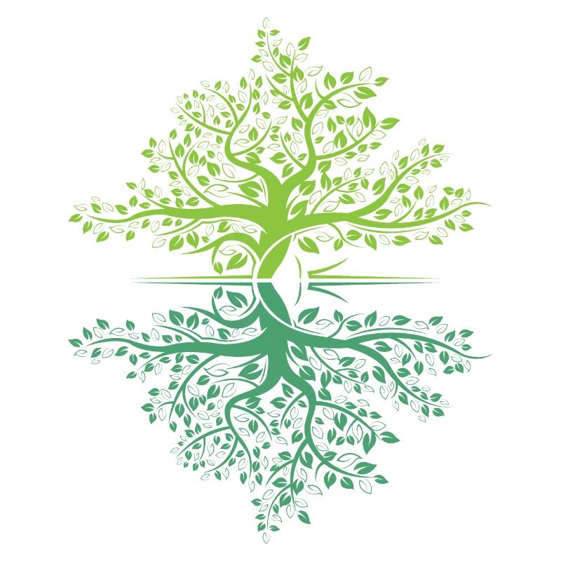 Tree Reflection Forest Nature Protection Outdoor Logo