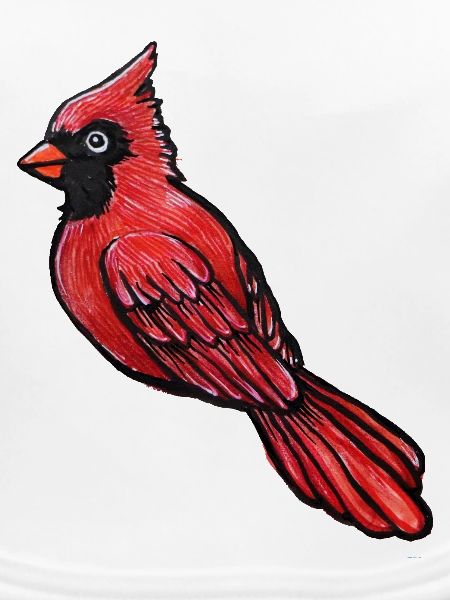 Roter Kardinal-Sketch