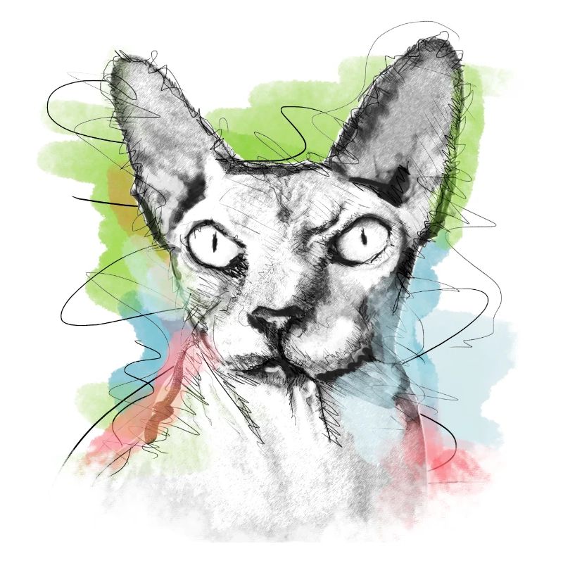 Sphinx Katze Nacktkatze Skizze