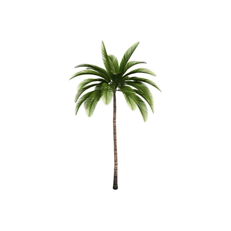 Palm tree