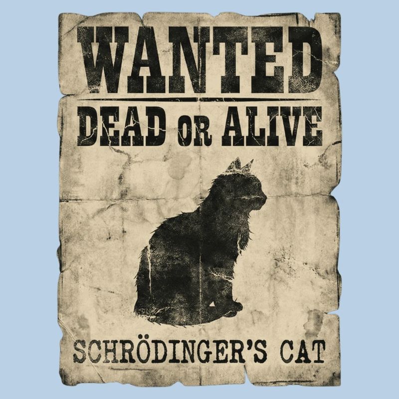 Schrödinger's Cat Wanted Dead Or Alive Physics Pun
