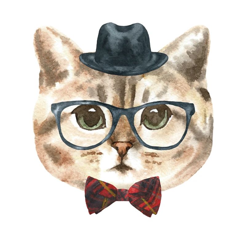 Nerd Katze