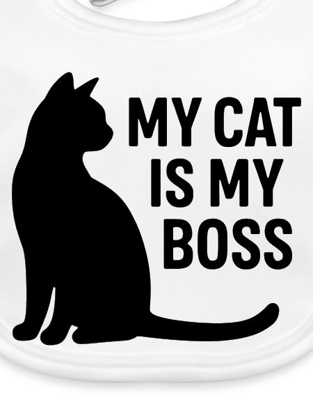 Katze ist Chef
