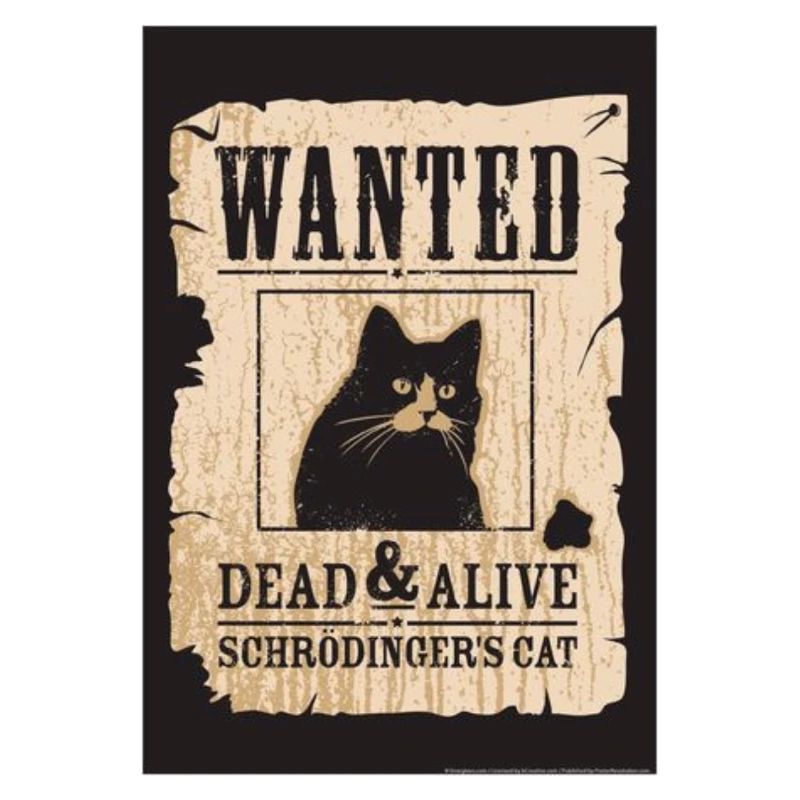 Schrodinger's Cat