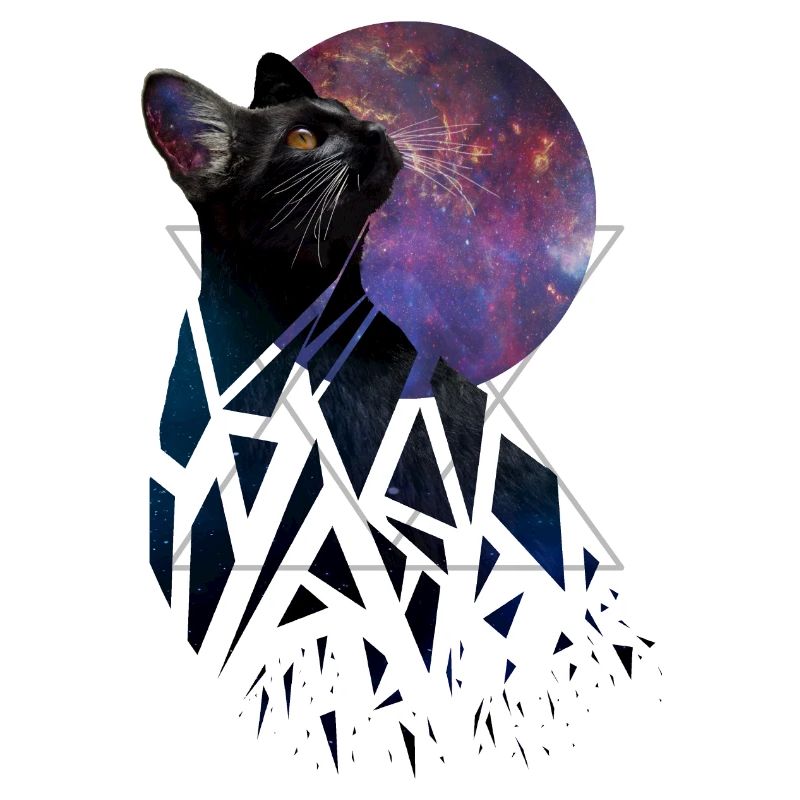 Chat de l’espace - série d’animaux de l’espace
