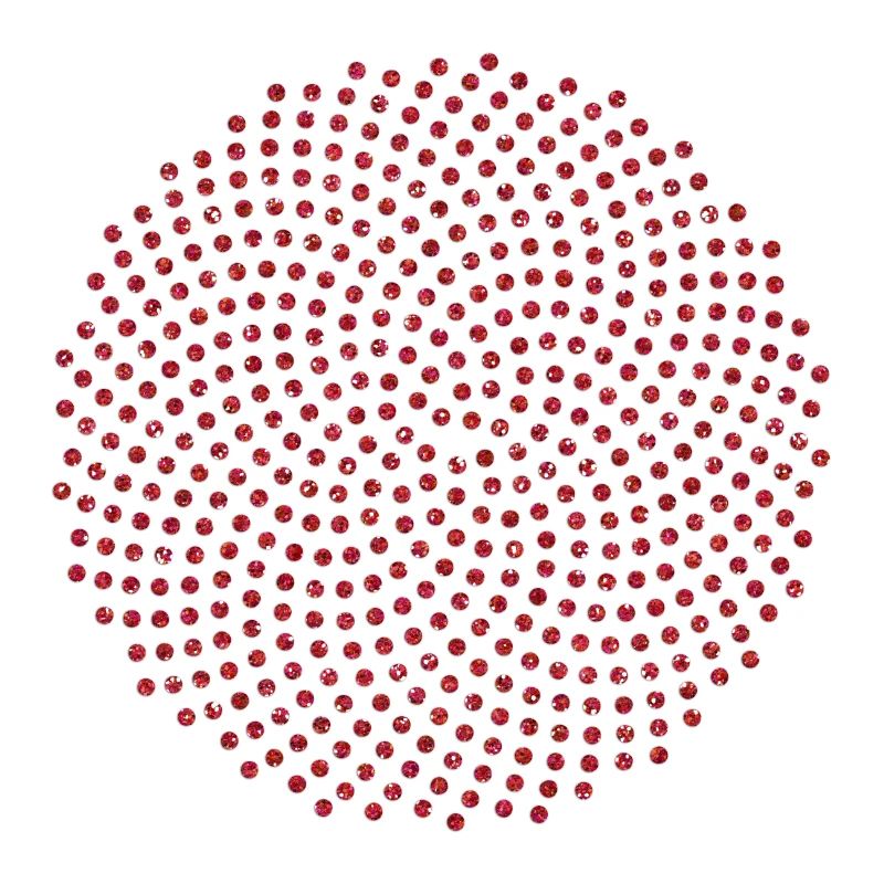 Fibonacci Mathematik Sonnenblume Phi Spirale Mathe