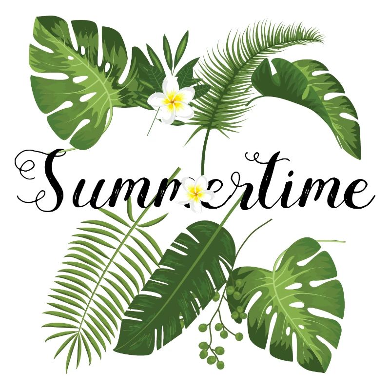 Summertime Spring springtime