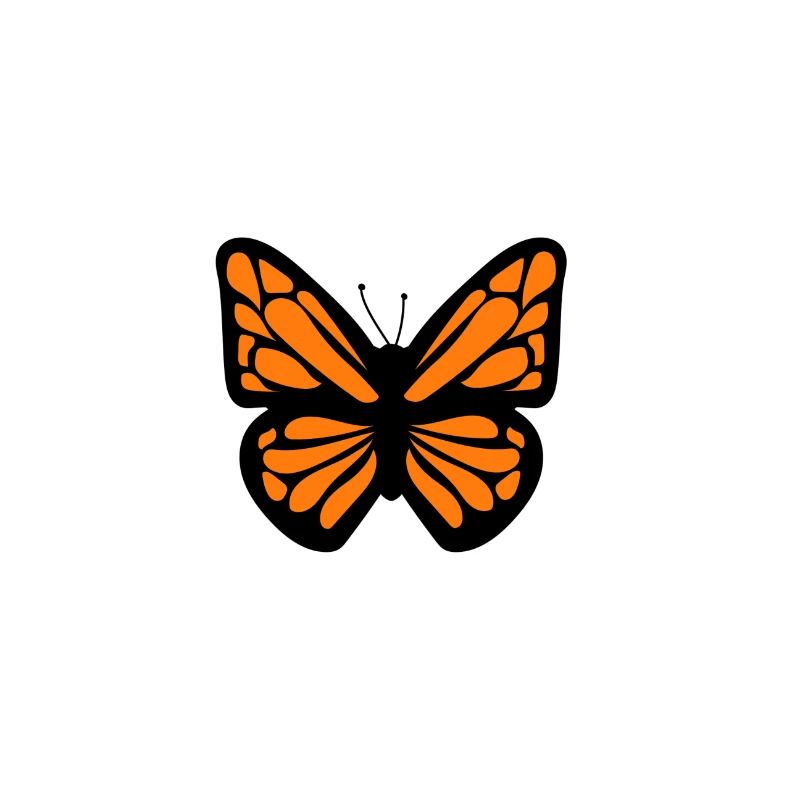 papillon orange