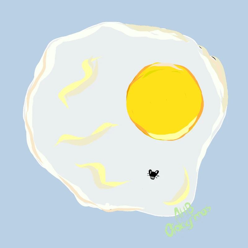 FRIED EGG v fly