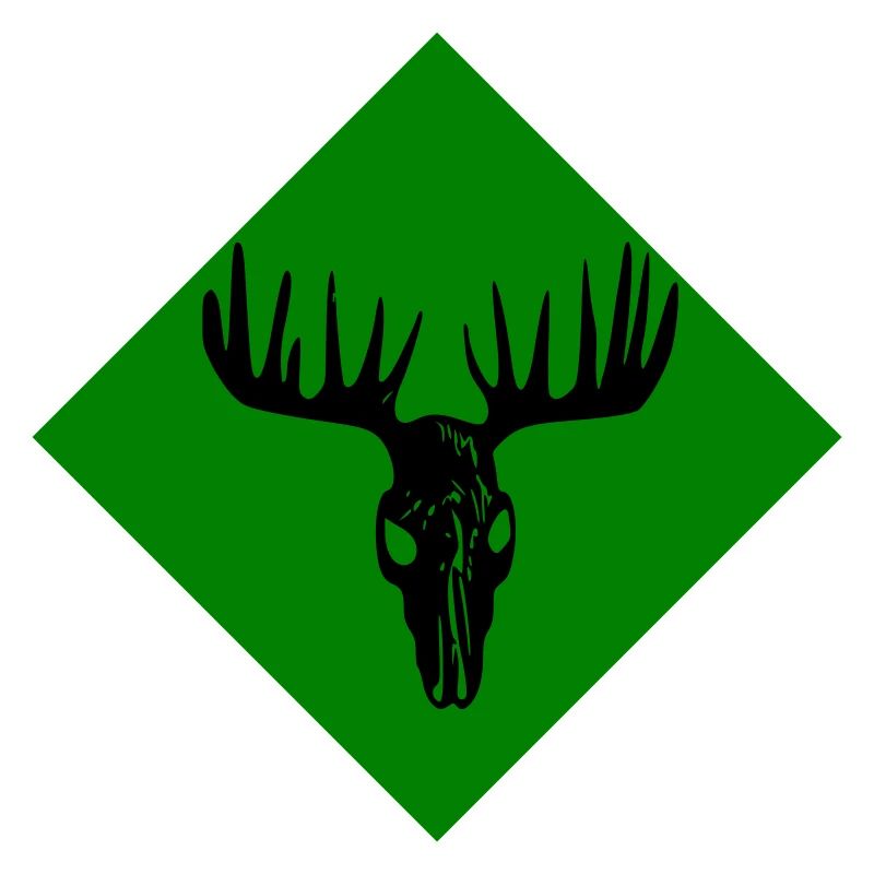 Elch-Schädel