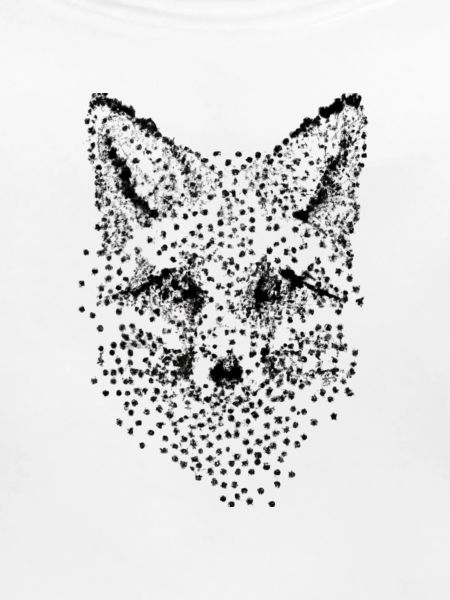 Fuchs (Dot-Point)