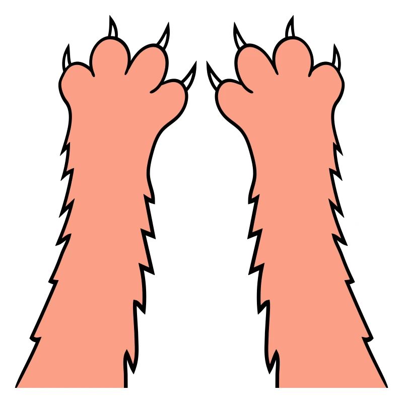 Cats, claws, paws, paws, sharp claws, scratching