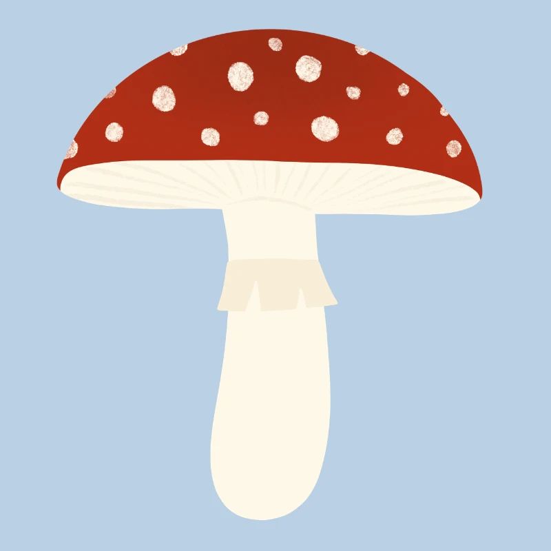 Toadstool Fly Agaric Mushroom