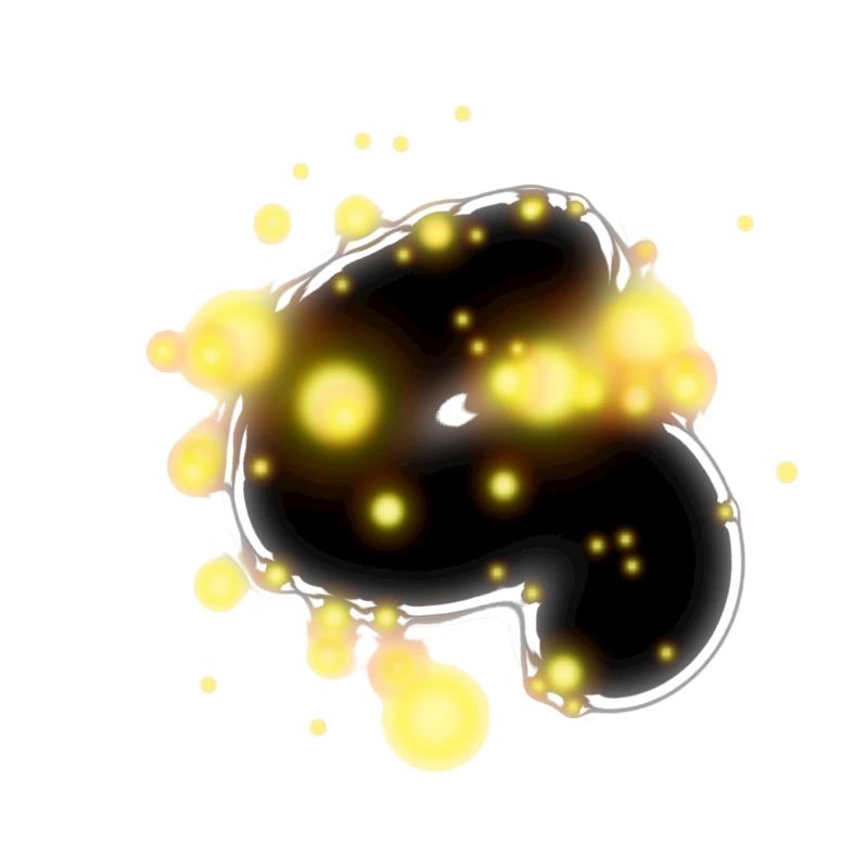 conception