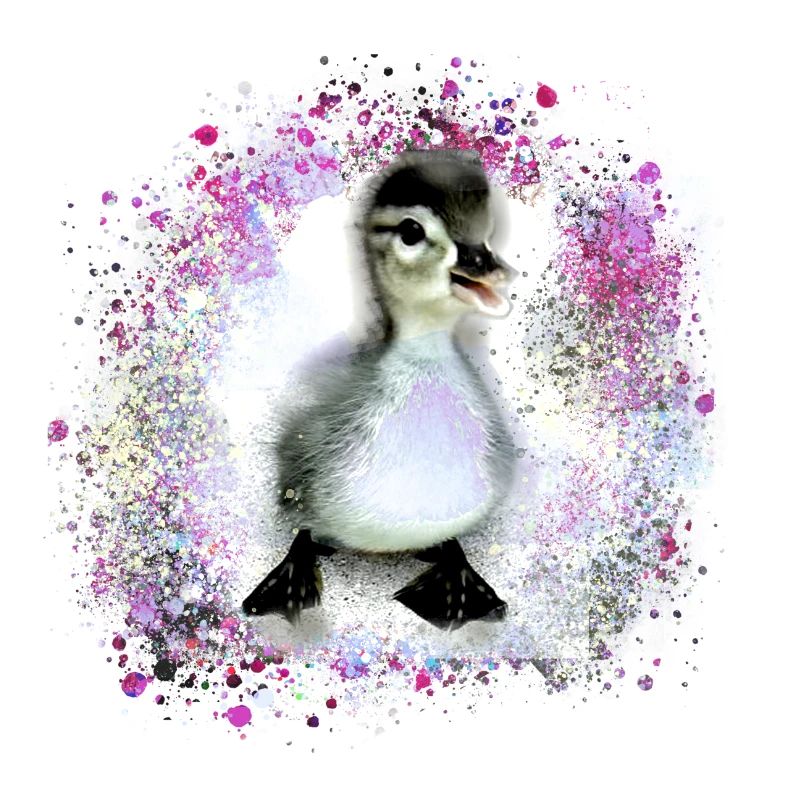 canard, canard, poussin,graffiti,rose,bébé