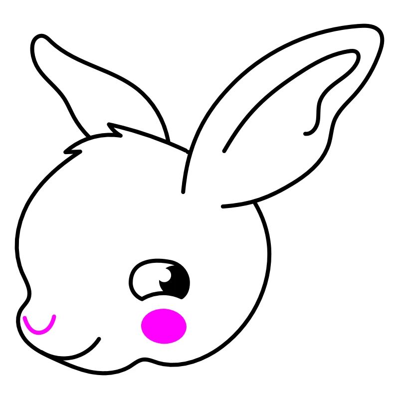 Two color rabbit face ears