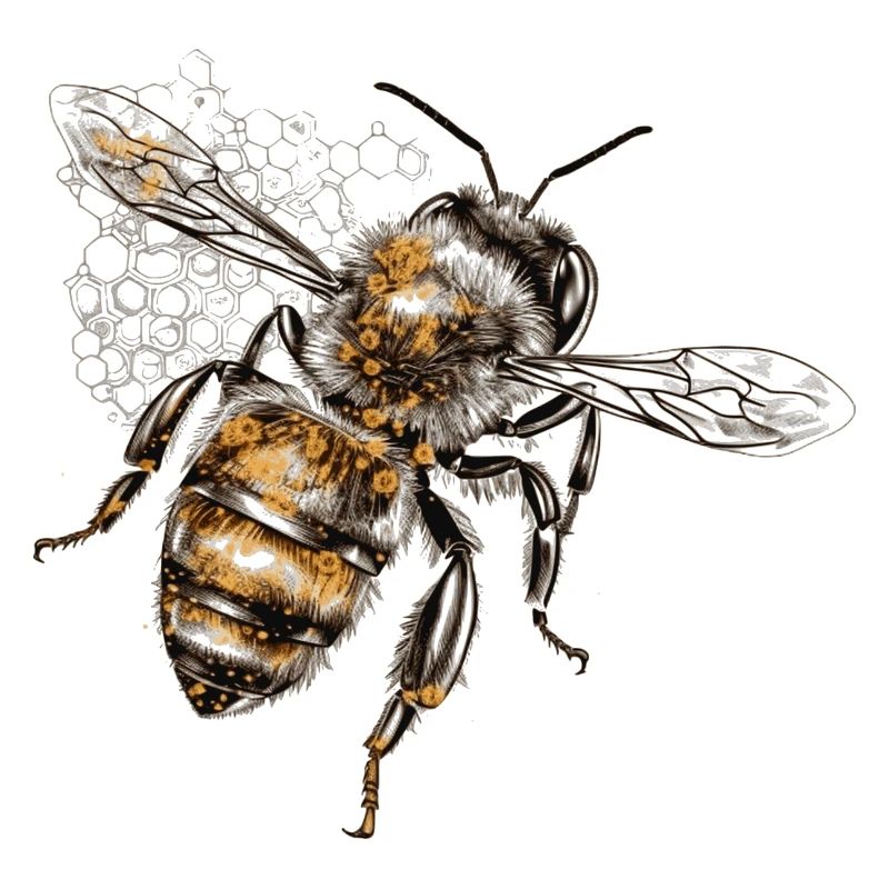 Bee is approaching the next flower