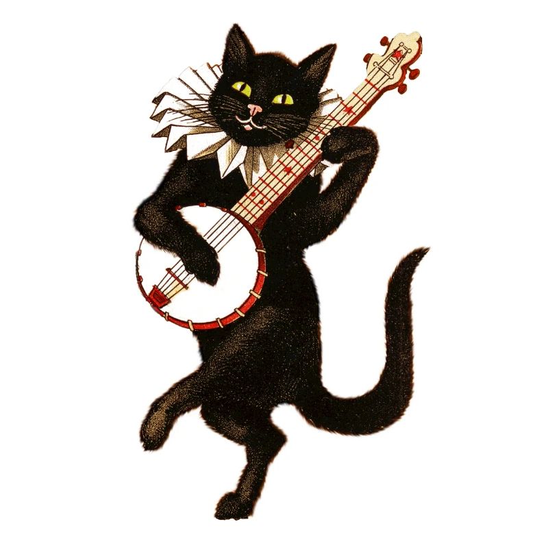 chat