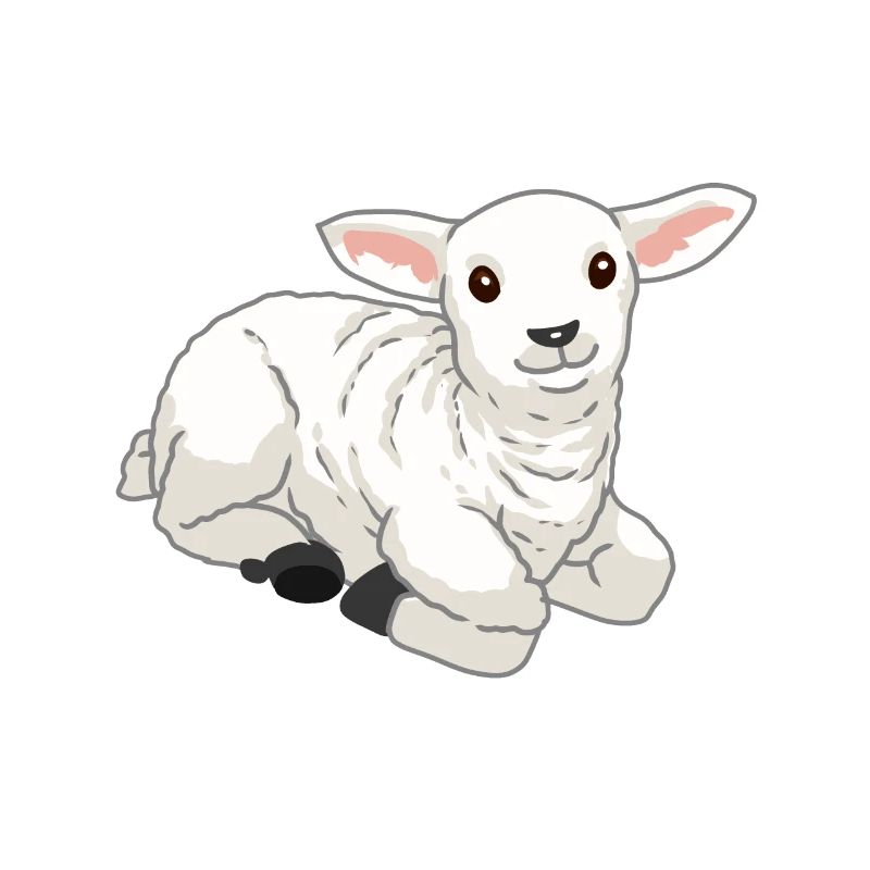 Baby Easter Lamb Sheep Lamb Goat Easter