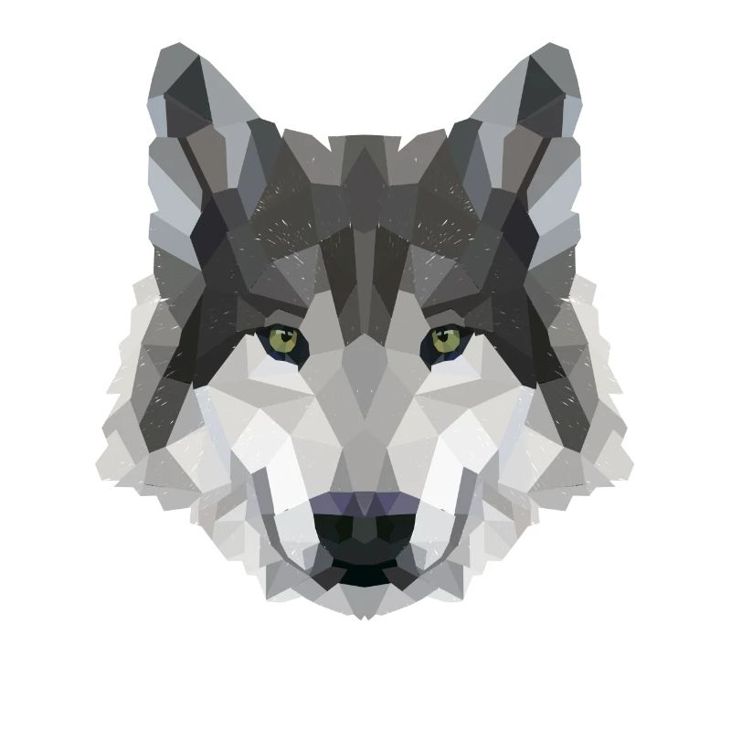 POLYGON WOLF WOLVES HUSKY PACK DOG PACK PACK