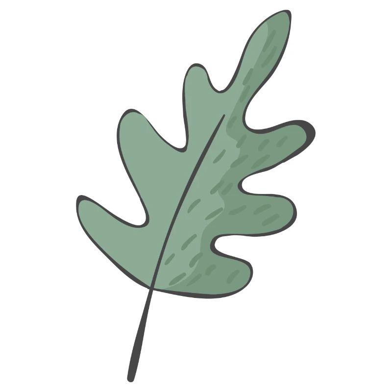 Forêt