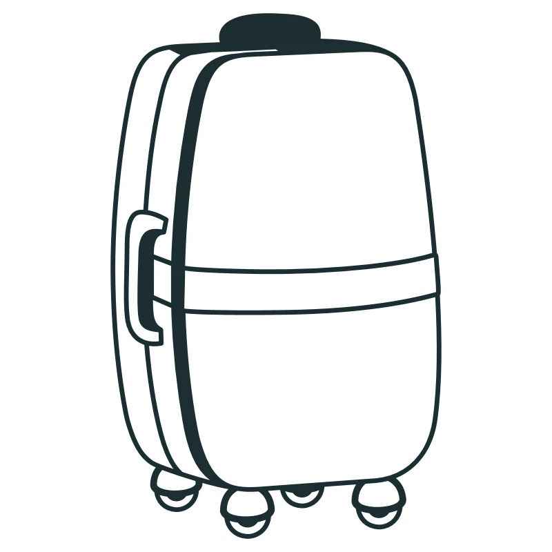 Big roller suitcase