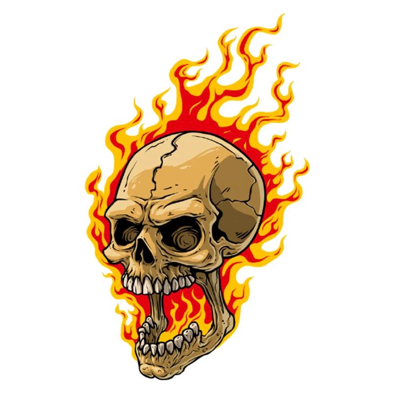 Human skull with flames