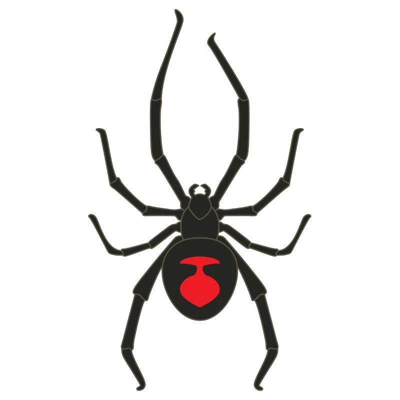 Black widow