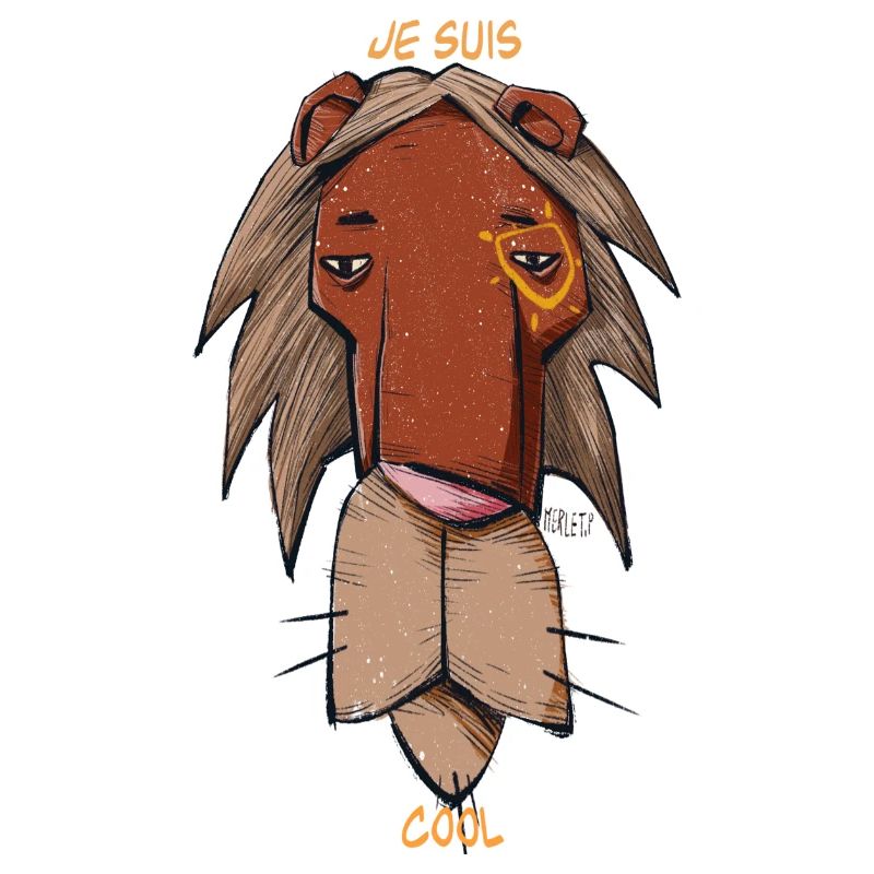 Je suis cool