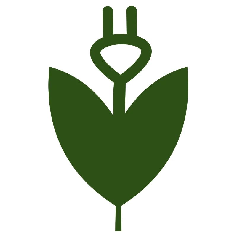 La fleur électrique